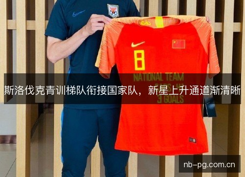斯洛伐克青训梯队衔接国家队，新星上升通道渐清晰